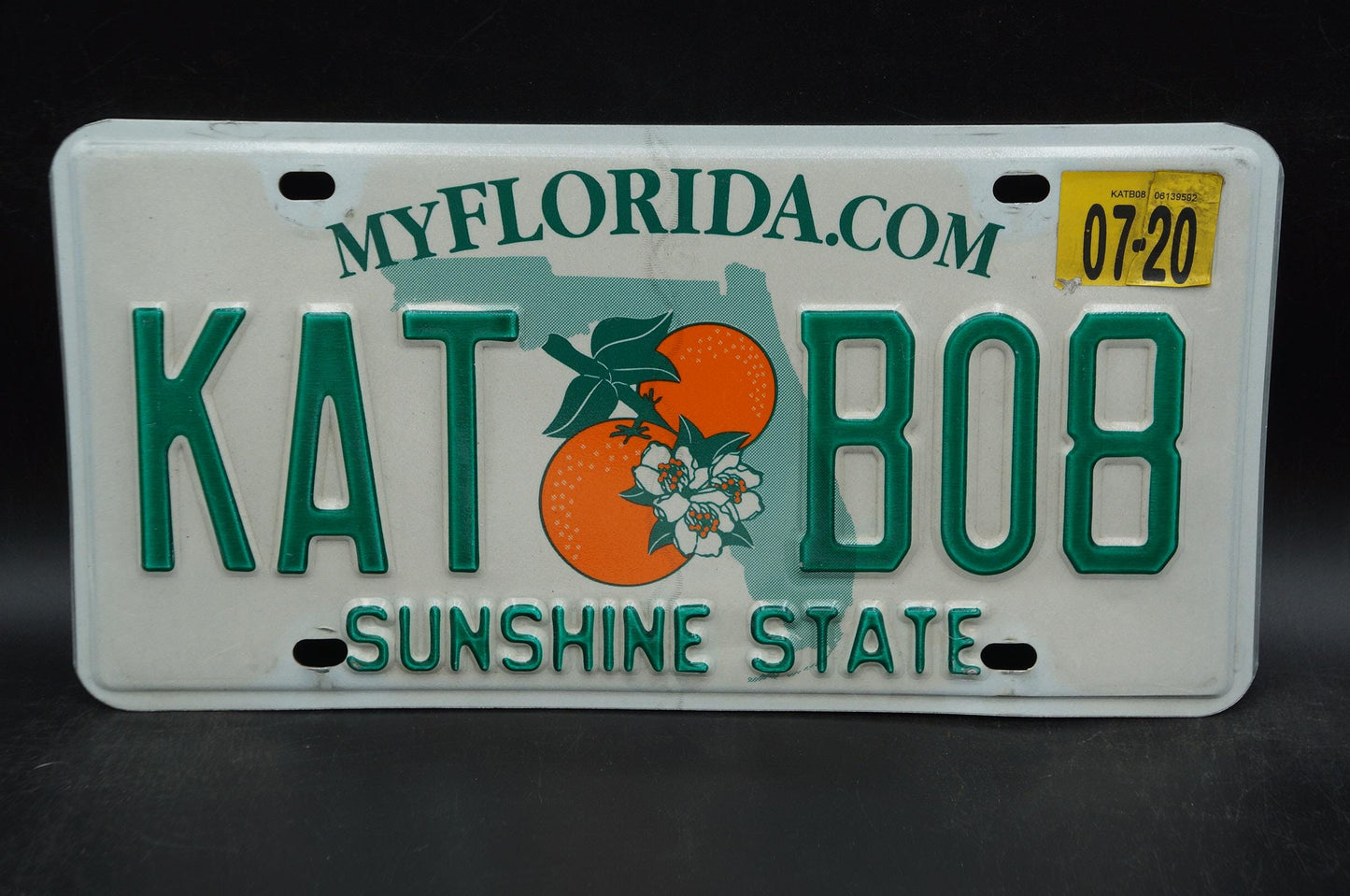 2020 Florida Double Oranges License Plate # KAT B08 - Cat Kate Katie Katherine