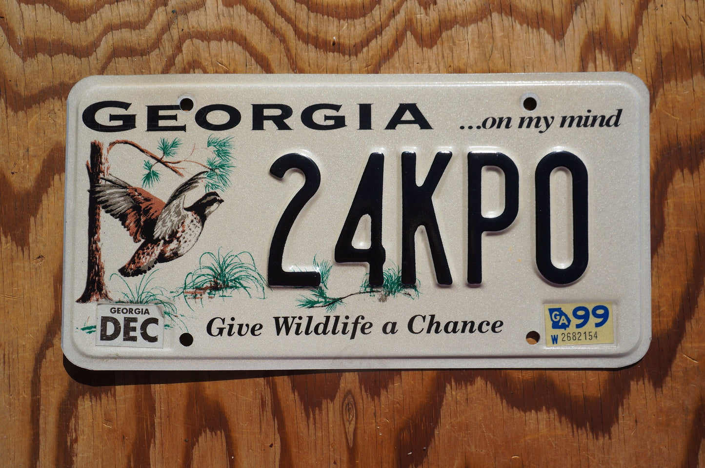1999 Georgia Give Wildlife A Chance Bird Graphic License Plate