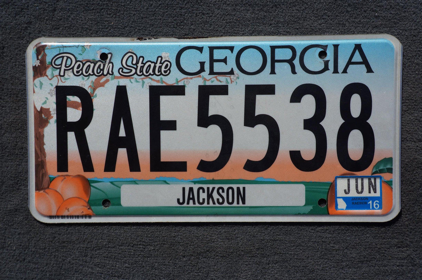2016 Georgia PEACH STATE Colorful License Plate - RAE 5538