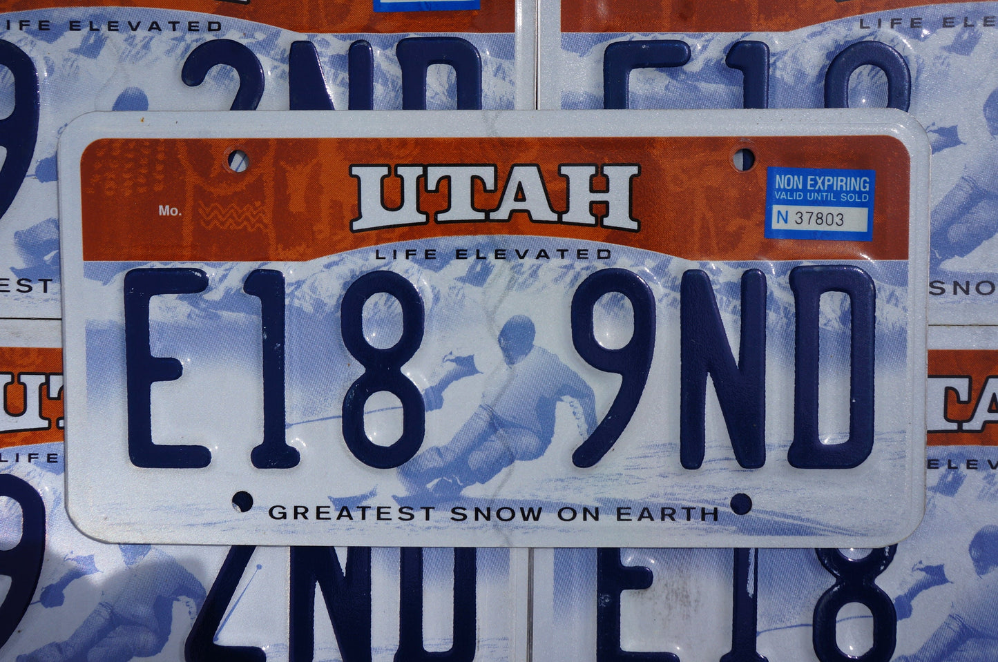 One or More - UTAH Greatest Snow On Earth SKIER Life Elevated License Plate