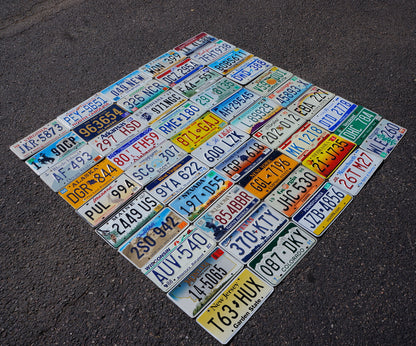 COMPLETE SET : ALL 50 STATES USA LICENSE PLATES LOT + Mexico Canada Panama Tags