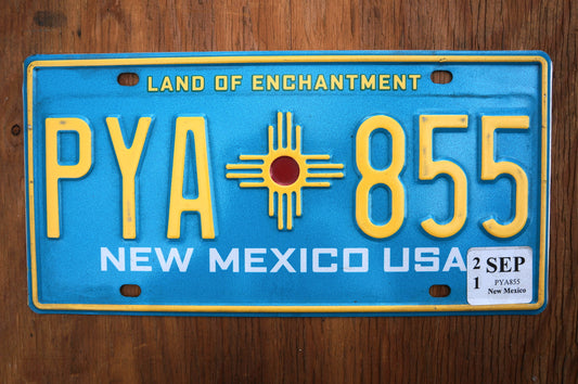 NEW MEXICO LICENSE PLATE -  Turquoise Blue Aqua License Plates Tags