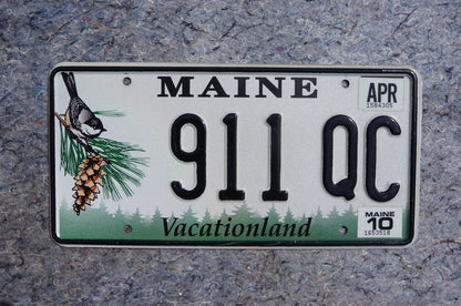 2010 Maine Pine Cone & Bird Graphic License Plate # 911 QC