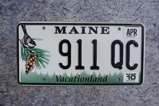 2010 Maine Pine Cone & Bird Graphic License Plate # 911 QC