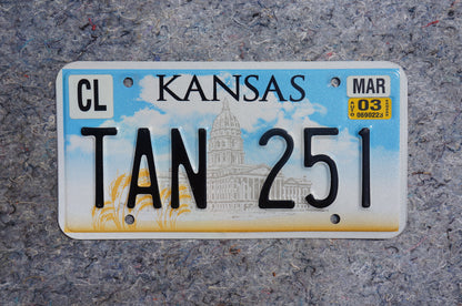 2003 Kansas License Plate # TAN 251