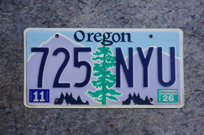 Oregon License Plate # 725 NYU