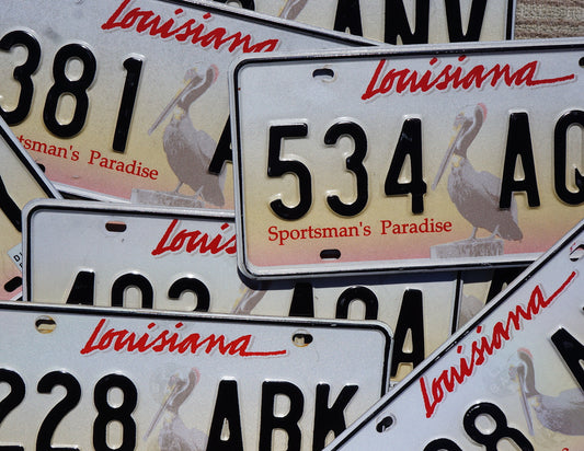 LOUISIANA LICENSE PLATE -PELICAN Graphic License Plate Tags Sportsman's Paradise