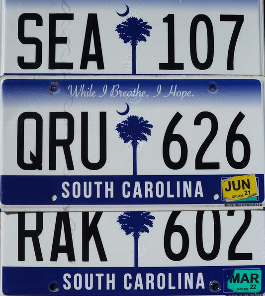 SOUTH CAROLINA LICENSE PLATES Palm Tree Blue Flat License Plate Tags Random #