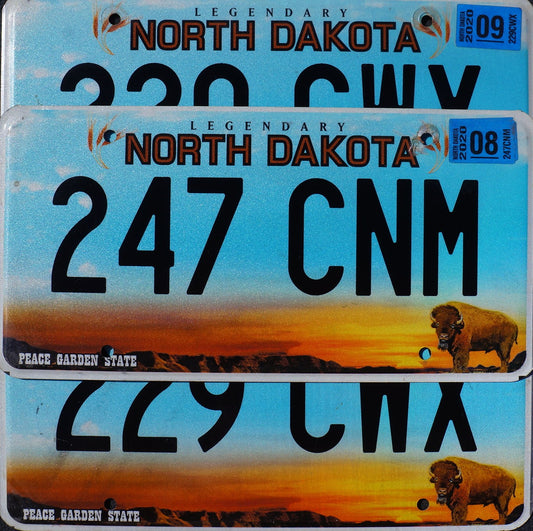NORTH DAKOTA LICENSE PLATES Peace Garden State Flat License Plate Tags Random #