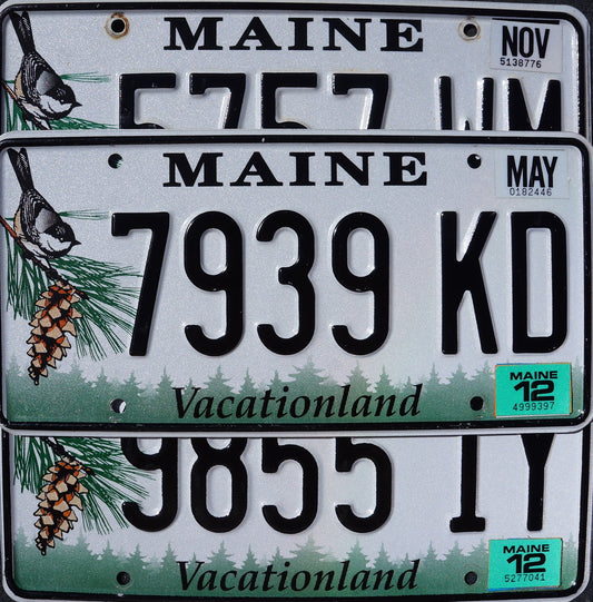 MAINE LICENSE PLATES -Vacationland Bird & Pine cone License Plate Tags Random #