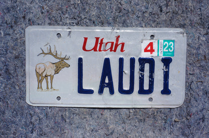 2023 Utah ELK BUCK Vanity License Plate # LAUDI - Wildlife Animal