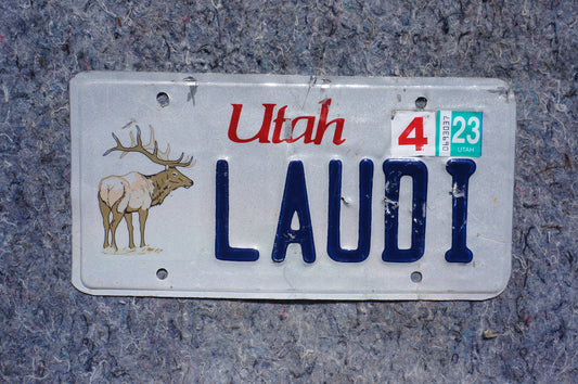 2023 Utah ELK BUCK Vanity License Plate # LAUDI - Wildlife Animal