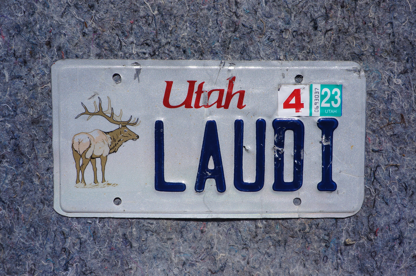 2023 Utah ELK BUCK Vanity License Plate # LAUDI - Wildlife Animal