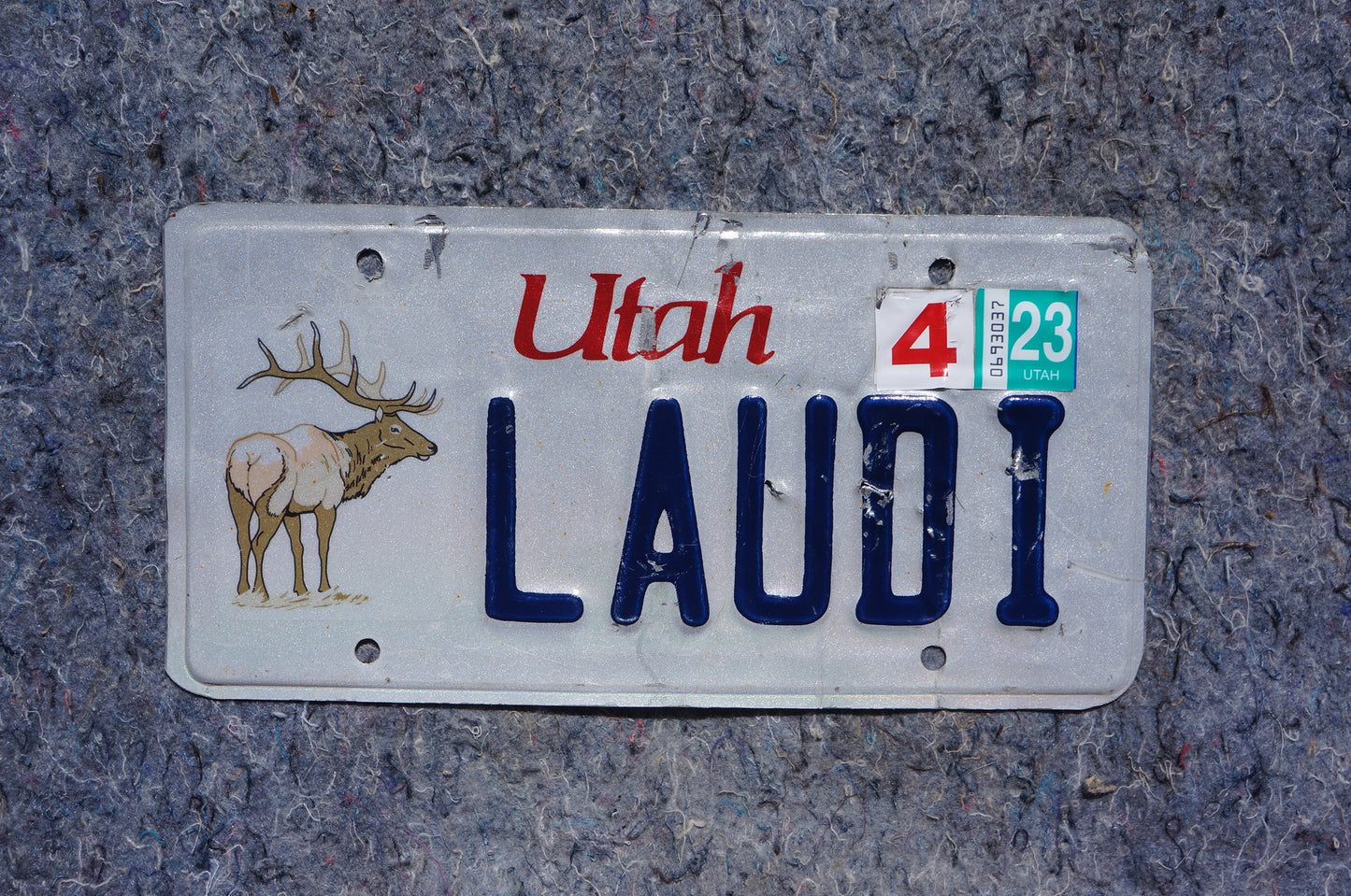 2023 Utah ELK BUCK Vanity License Plate # LAUDI - Wildlife Animal