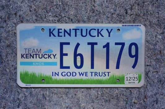 2025 Kentucky TEAM KENTUCKY Graphic License Plate - Blue Sky Green Grass
