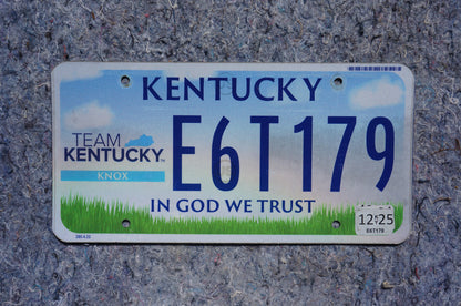 2025 Kentucky TEAM KENTUCKY Graphic License Plate - Blue Sky Green Grass