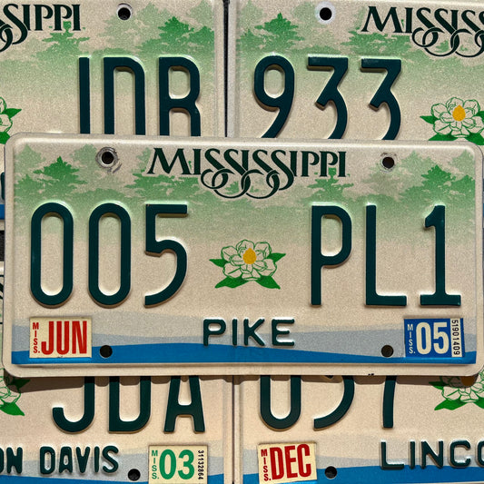 MISSISSIPPI MAGNOLIA Flower Green Graphic License Plate Tags GOOD Condition