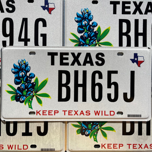 TEXAS KEEP TEXAS WILD Graphic Colorful License Plate - BLUEBONNETS PLANTS FLOWER