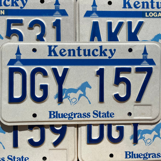 KENTUCKY HORSES Graphic License Plate Tags - BLUEGRASS STATE GOOD Condition