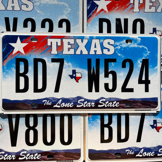TEXAS License Plate - COLORFUL Red and Blue Sky with White Star and Mountains