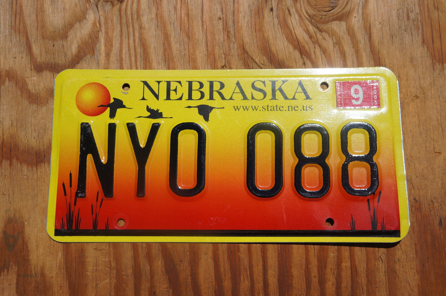 2005 Nebraska GEESE & SUNSET License Plate # NYO - 088