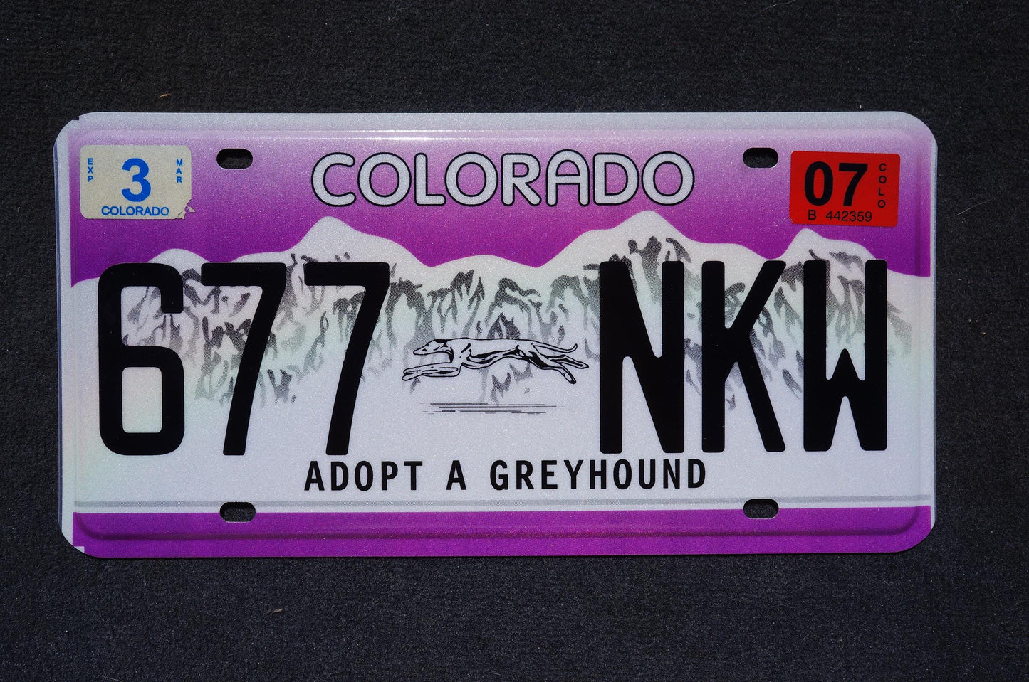 2007 Colorado ADOPT A GREYHOUND License Plate - Dog