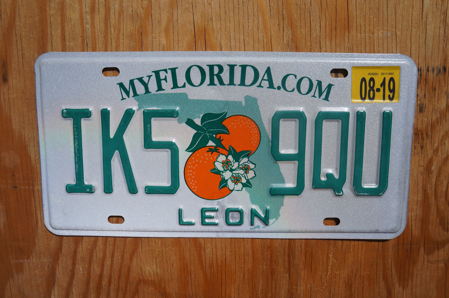 2019 Florida LEON County Twin Oranges License Plate