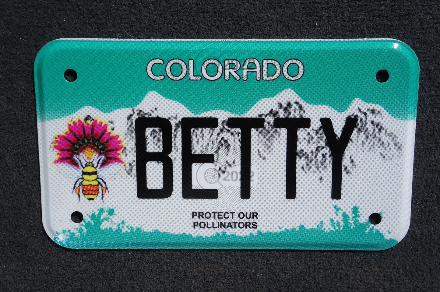 Expired Colorado Vanity MOTORCYCLE License Plate - BETTY - Elizabeth Betsy Bette Hetty
