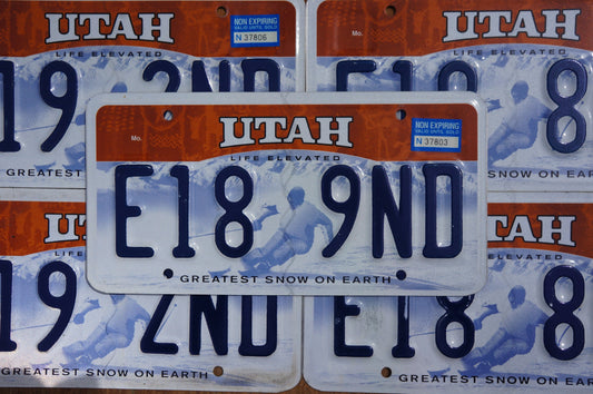 One or More - UTAH Greatest Snow On Earth SKIER Life Elevated License Plate
