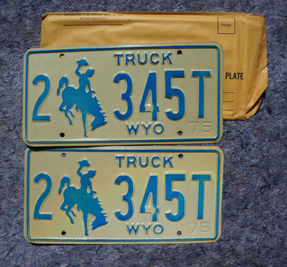1975 Wyoming Truck Cowboy Horse Blue License Plate PAIR / SET # 2 - 345 T