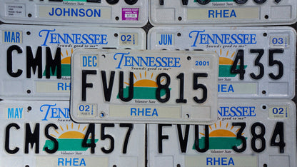 One or More - TENNESSEE SUN GRAPHIC Embossed Vintage License Plate