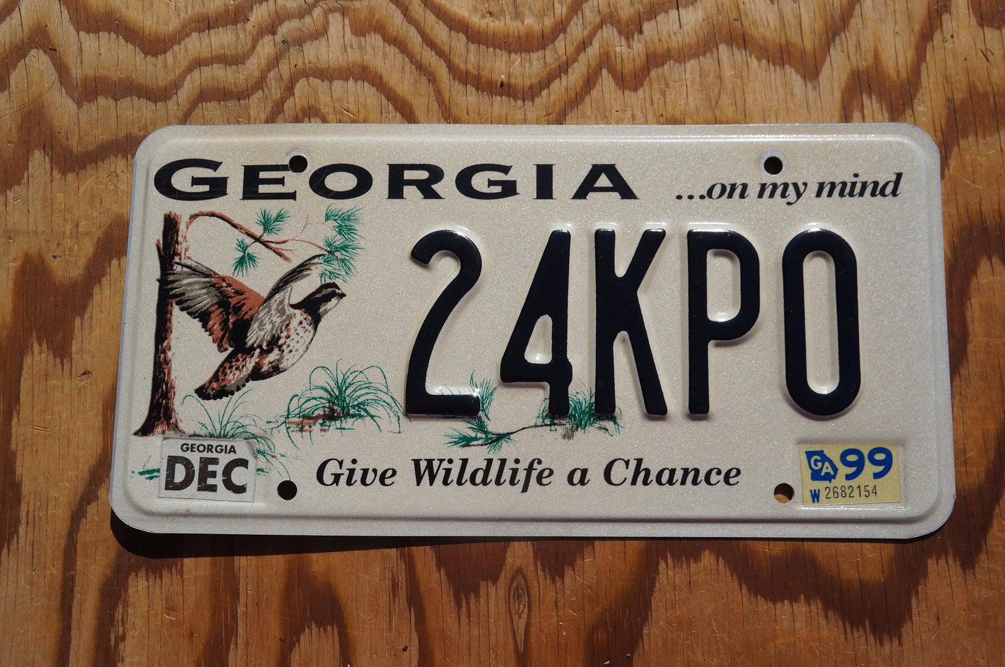1999 Georgia Give Wildlife A Chance Bird Graphic License Plate
