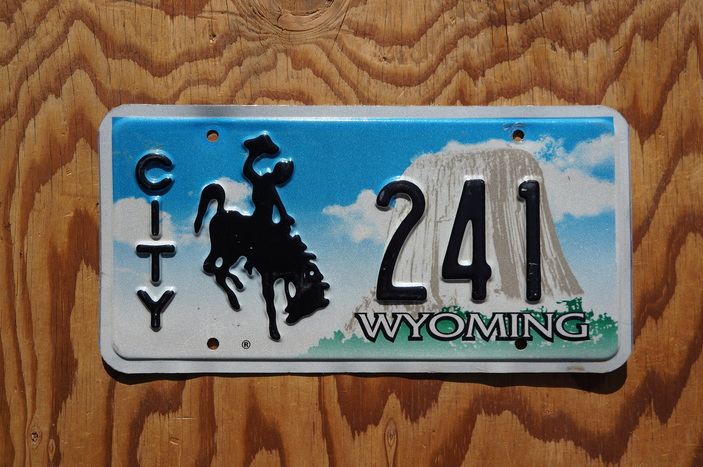 Wyoming CITY Rodeo Cowboy & Horse License Plate # 241