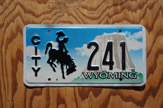 Wyoming CITY Rodeo Cowboy & Horse License Plate # 241