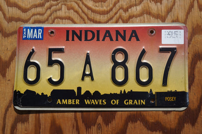 1995 Indiana Amber Waves of Grain Pink Yellow License Plate