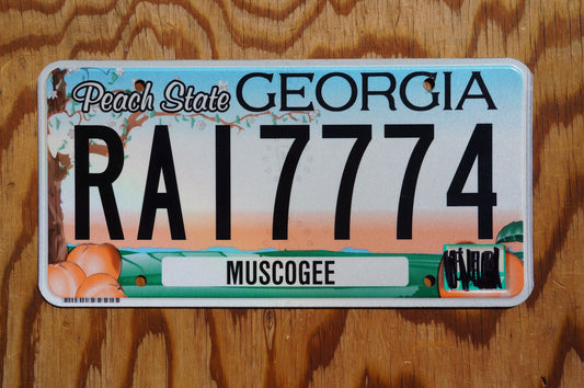 2017 Georgia PEACH STATE Colorful Graphic License Plate - RAI 7774