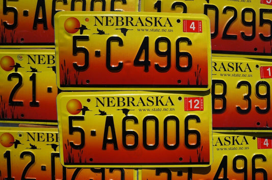 ONE OR MORE Nebraska Sand Hill Cranes Geese - Sunrise / Sunset License Plate