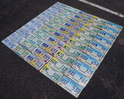 Mississippi License Plates Lot of 50: Guitar, Magnolia, Lighthouse Designs