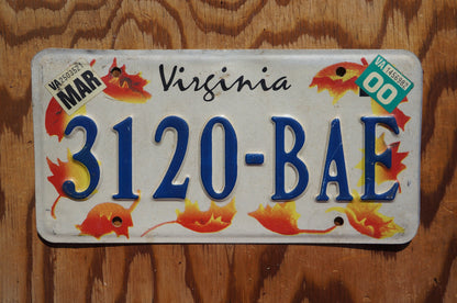 2000 Virginia Orange FALL LEAVES License Plate Autumn Decoration