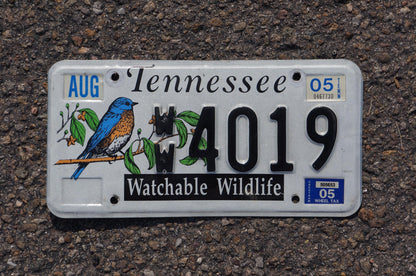2005 Tennessee WATCHABLE WILDLIFE Graphic Colorful License Plate - Blue bird