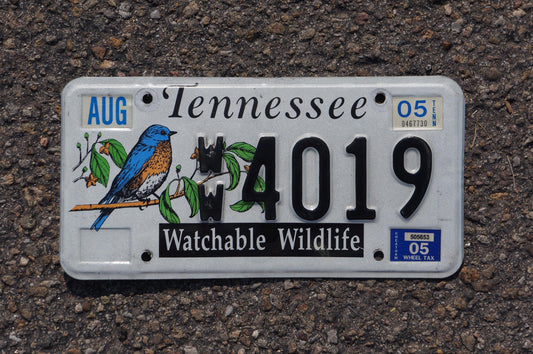 2005 Tennessee WATCHABLE WILDLIFE Graphic Colorful License Plate - Blue bird