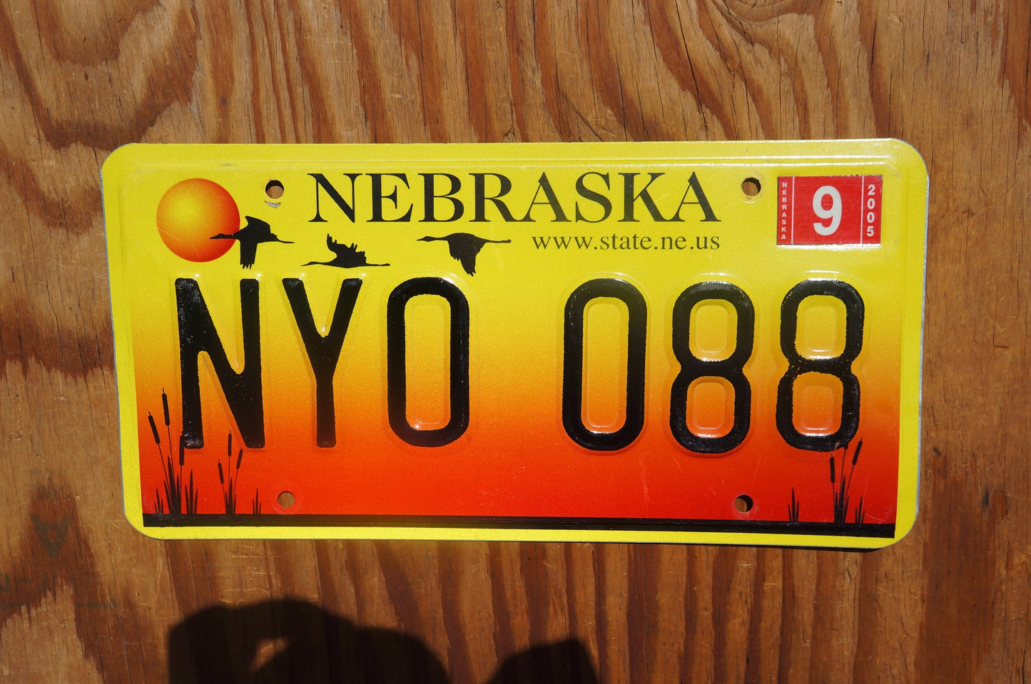 2005 Nebraska GEESE & SUNSET License Plate # NYO - 088