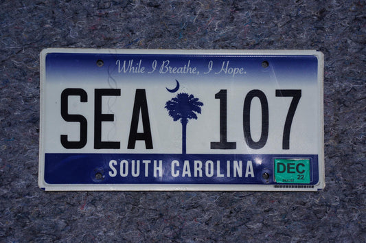 2022 South Carolina Palm Tree License Plate # SEA 107