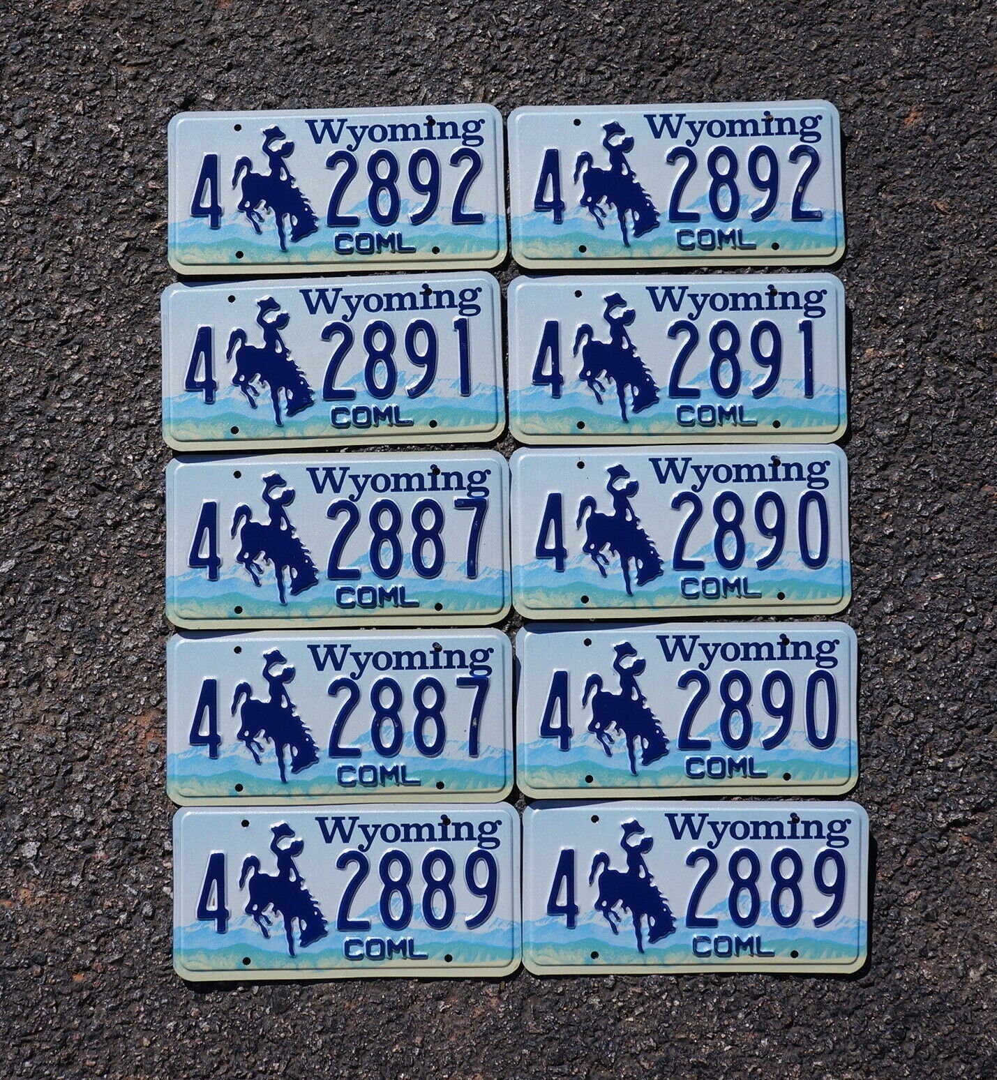 Wyoming License Plates - Lot of 10 Cowboy Horse Plates