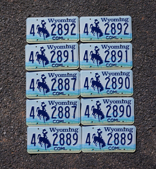 Wyoming License Plates - Lot of 10 Cowboy Horse Plates