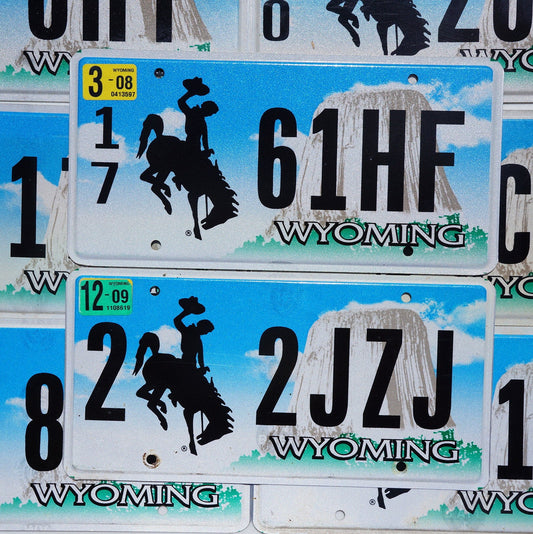 One or More WYOMING Cowboy & Horse PASSENGER License Plate Tags