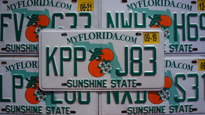 One or More - FLORIDA ORANGE License Plate - Sunshine State
