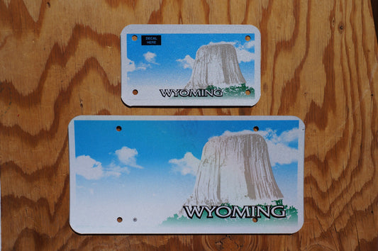 Wyoming Blank Sample PASSENGER & MOTORCYCLE License Plate Tags - LOT of 2