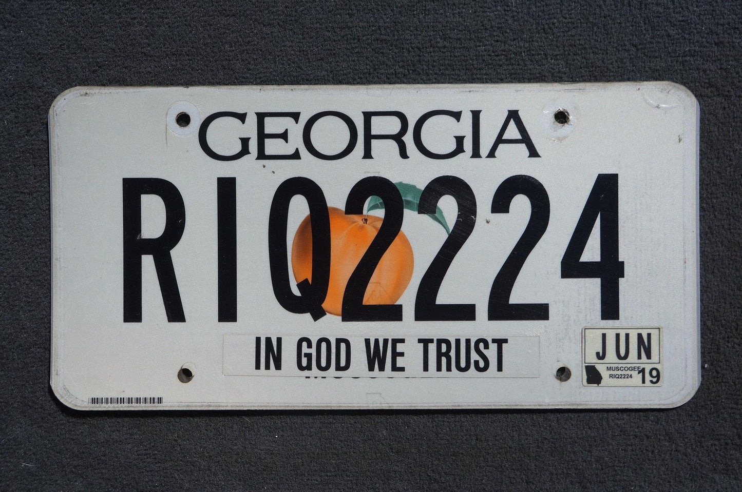 2019 Georgia Graphic License Plate - RIQ 2224