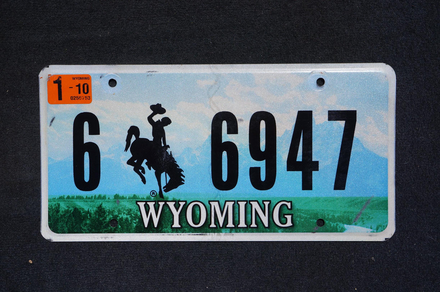 2010 Wyoming Graphic Rodeo Cowboy & Horse Bucking Bronco Blue License Plate